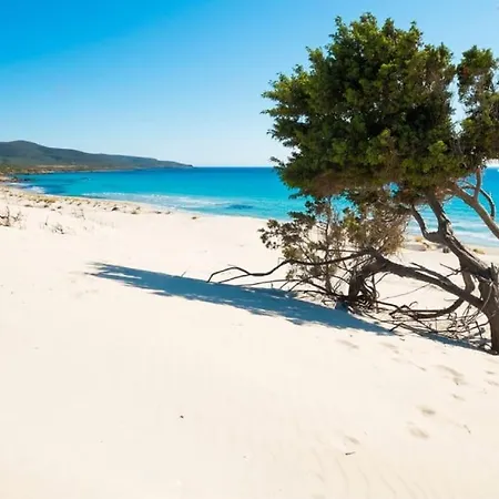 La Torre Vicino Le Piu Belle Spiagge Di Chia * Domus De Maria